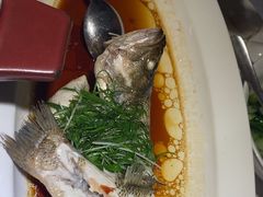 -院里寻菜·精致庭院菜(观沙岭店)