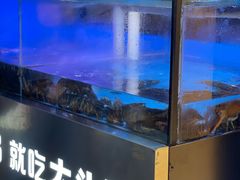 -大头椰·椰子鸡火锅(南宁万象城店)