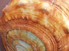 20121025_121833-老味道民宿(栈桥店)