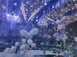 -花嫁丽舍婚礼殿堂(世博江景店)