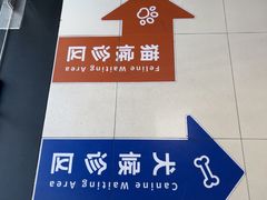 -申普宠物医院·心脏介入·心血管微创(总院)