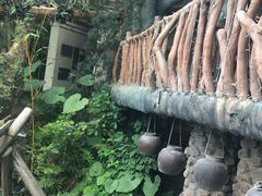 -观澜山水田园