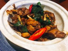 -芒果爆爆(东海缤纷店)