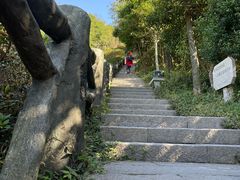 -梧桐山风景名胜区