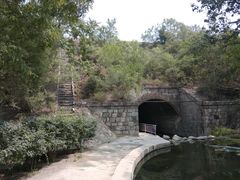 -白水寺森林公园