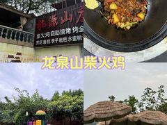 -桃源山庄·水蜜桃采摘·柴火鸡·烧烤团建(龙泉山店)