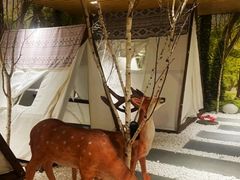 -东方之珠洗浴休闲广场(南开店)
