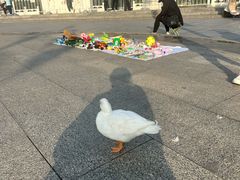 -门城湖公园