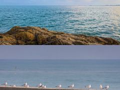 -日照海滨国家森林公园