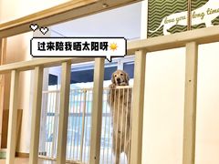 -Double Rui宠物酒店