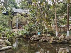 -成都市活水公园