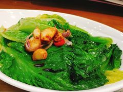 白灼罗马生菜-广州海鲜酒楼(长丰园店)