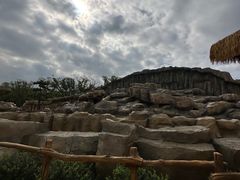 -武汉动物园