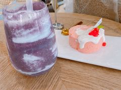 -共舞时光猫咖·狗咖(新街口店)