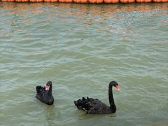 -天津东丽湖风景区