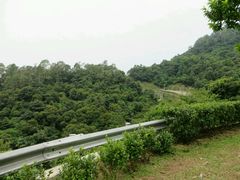 -火炉山森林公园