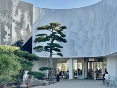 -罗红摄影艺术馆