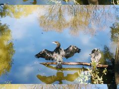 -沈阳森林动物园