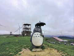 -龙里油画大草原旅游区