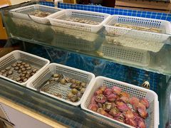 -以岭健康城·凯旋门大酒店-怡梦音乐西餐厅