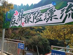 -南丹山森林王国