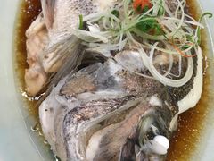 -盒马渔市餐厅