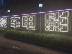 -枫花园汽车电影院(朝阳公园店)