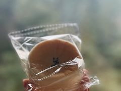 -胖虎打面团(九眼桥店)