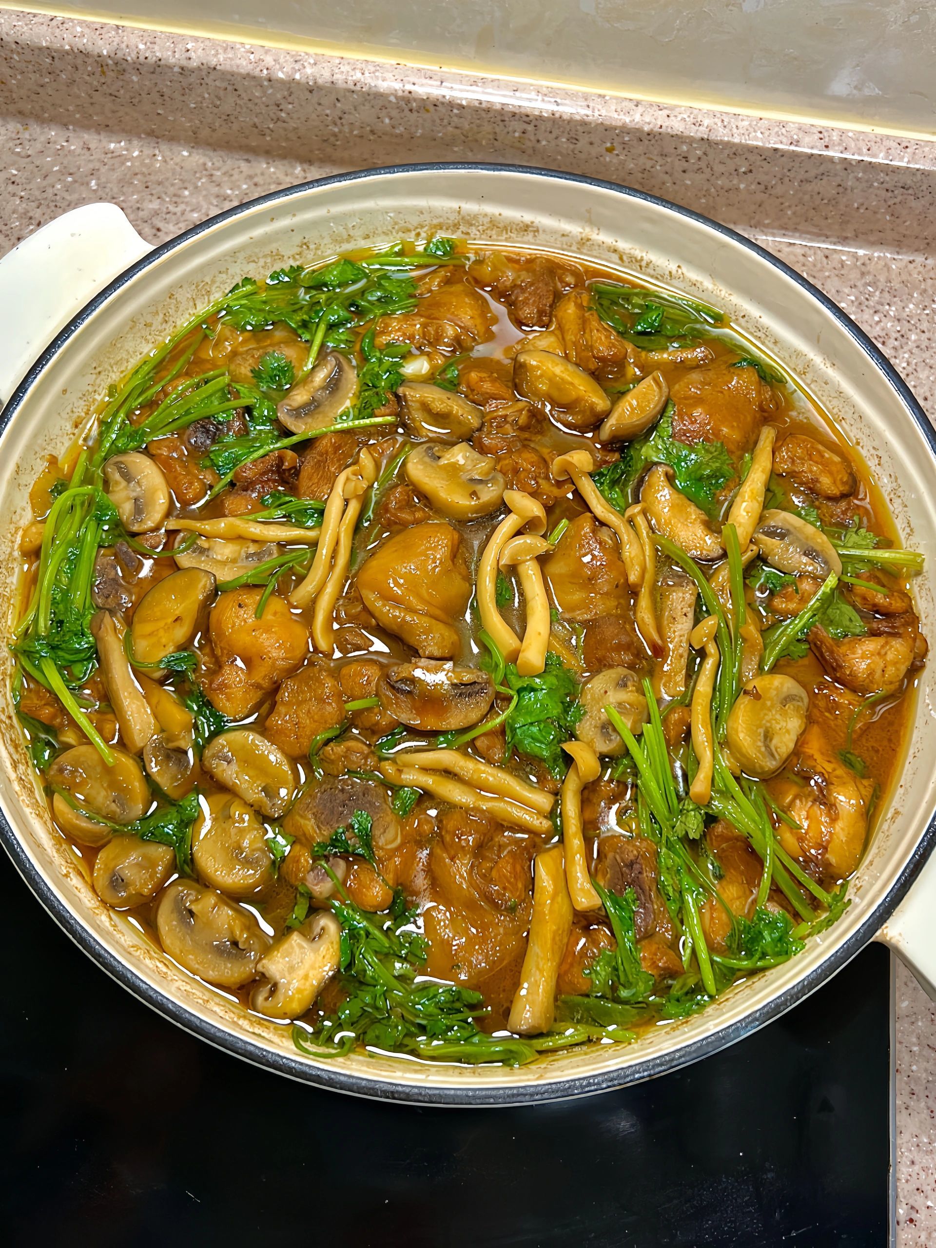 这菌菇鸡肉煲的配方我真的超爱!