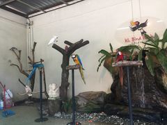 -吉隆坡雀鸟公园