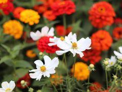 -星光摄影器材城