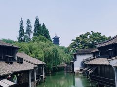 -乌镇西栅景区