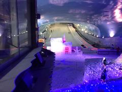 -世界之窗阿尔卑斯冰雪世界