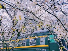 -新天地活力PARK