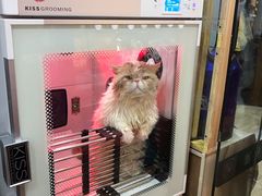 -老同盛(昌里路店)