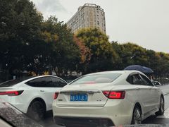 -千岛湖城中湖游船码头