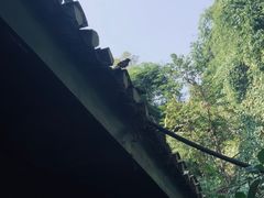 -白公馆