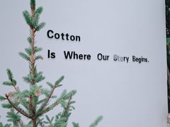 -COTTON CAFE(德信·中外公寓店)