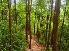 -青城山