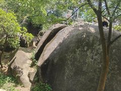 -火炉山森林公园