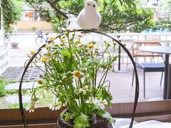 -扫雪煮茶(西村店)