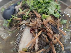 -风鑫铃罗非鱼(道沟店)
