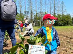 -前小桔亲子创意农场·草莓采摘·露营烧烤