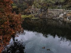 -小吊梨汤·北京菜(香山店)