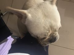 -摩圣汽车深度保养中心(亦庄旗舰店)