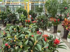 -黑龙江中医药大学