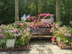 -上海滨江森林公园