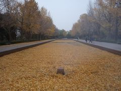 -玲珑塔公园