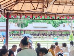 -野象谷景区