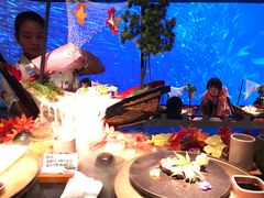 -地球美食剧场